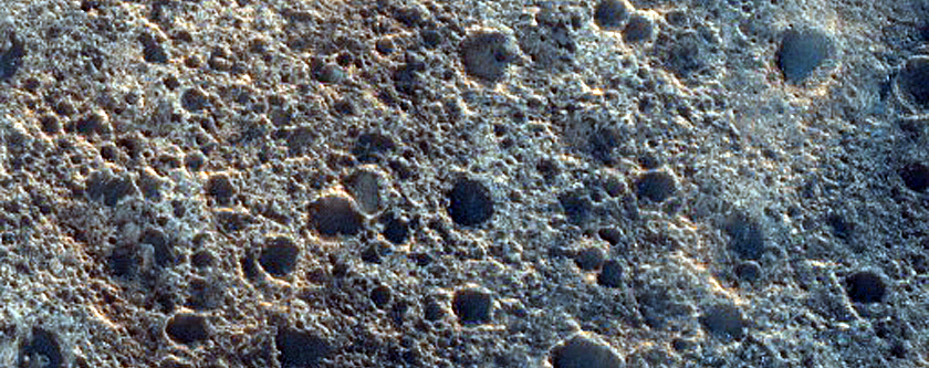 Dune Survey