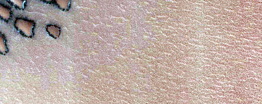 Dune Monitoring in Crater