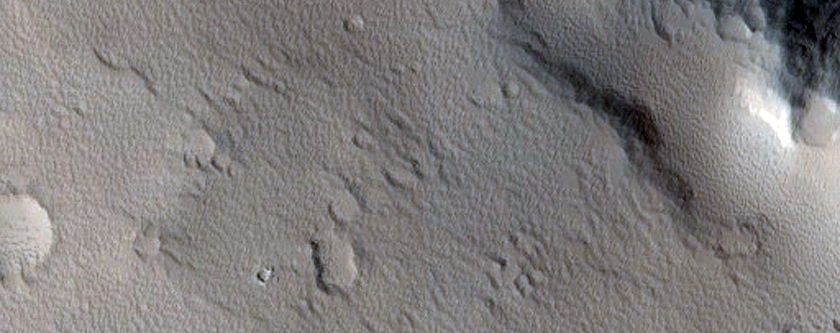 Possible Slope Streak Formation and Dust Clouds in Amazonis Planitia