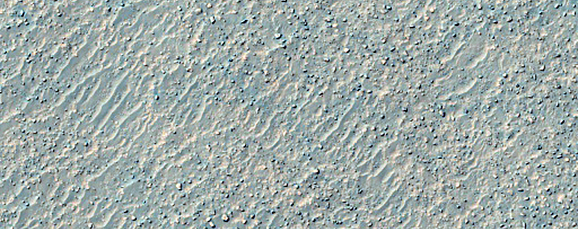 Nereidum Montes
