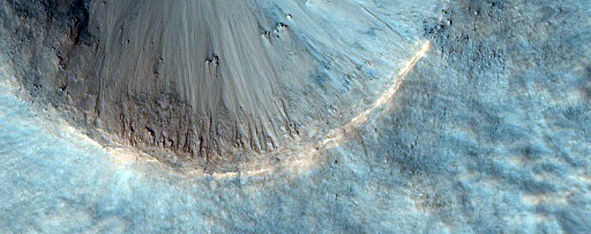 Equatorial Gullies