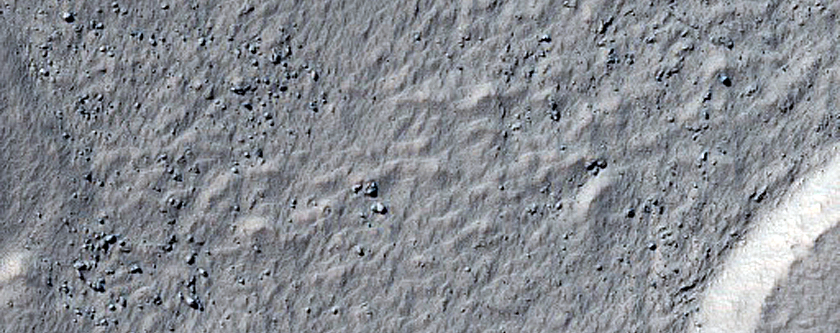Scarp Monitoring