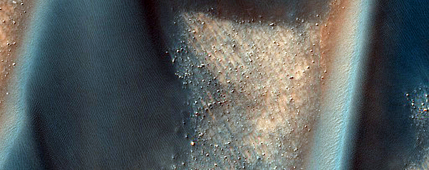 Defrosting Dune Transition and Elongated Barchans