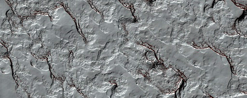 South Polar Residual Cap Mosaic Campaign