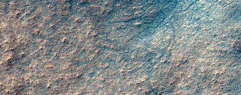 Gully Monitoring
