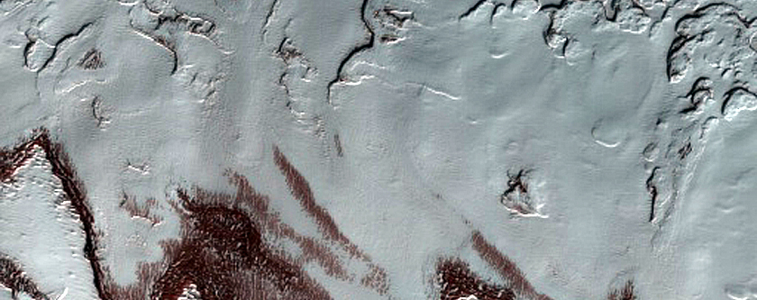 South Polar Residual Cap Mosaic Campaign