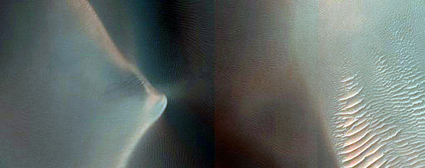 Monitor Dune Gullies