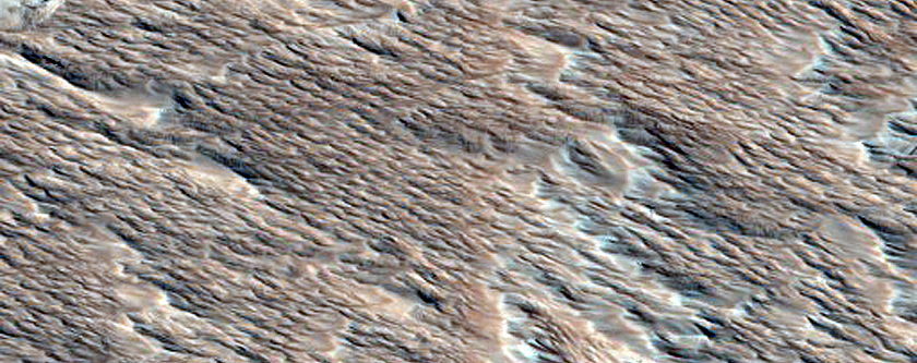 Candidate Recent Impact Site