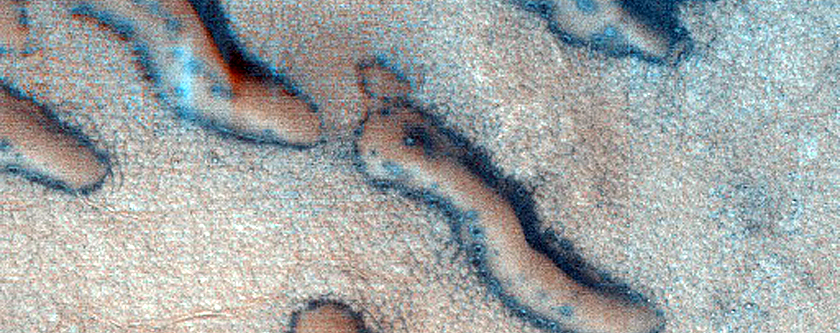 Dune Monitoring in Crater