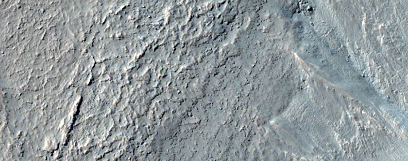 Gully Monitoring