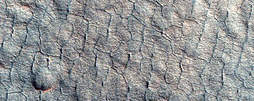 Scalloped Depressions in Utopia Planitia