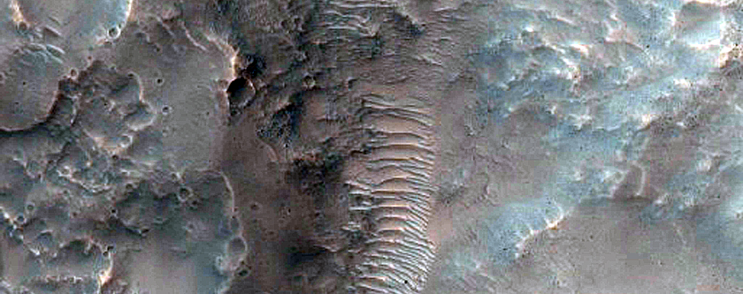 Fine South Facing Gullies