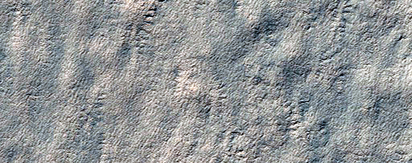 Search for Mars Polar Lander