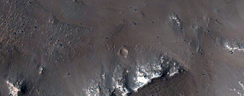 Crater-Related Pitted Materials in 8-Kilometer Crater in Daedalia Planum