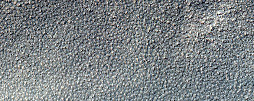 Terrain Sample