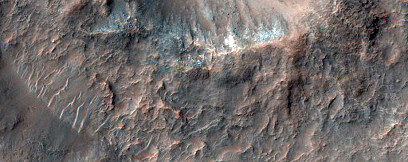 Terrain Sample