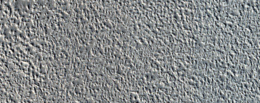 Candidate Landing Site for SpaceX Starship East of Arcadia Planitia