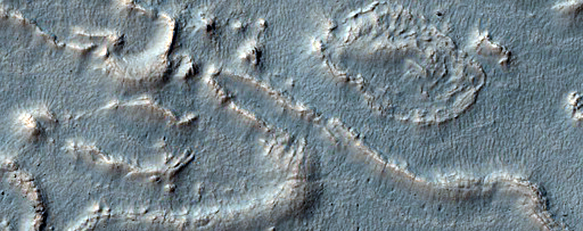 Irregular Cellular Structures around Crater in Southern Mid-Latitudes