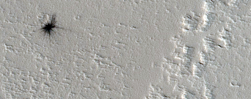 Candidate Recent Impact Site