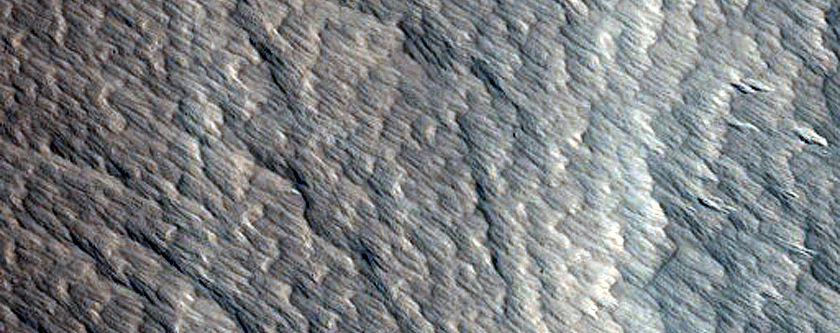 Terrain Sample