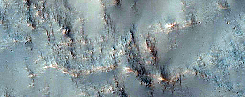 Terrain Sample