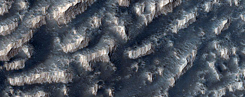 Terrain Sample