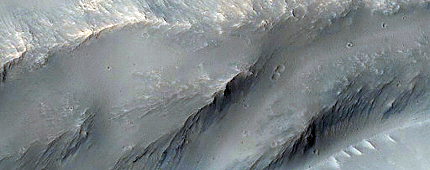 Terrain Sample
