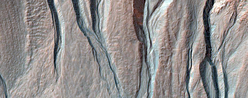 Gully Monitoring