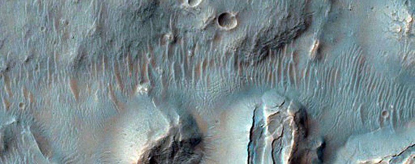 Gully Monitoring