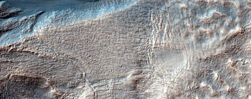 Gully Monitoring