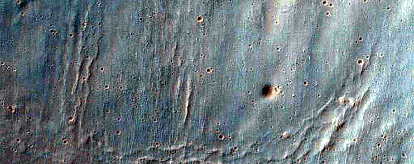Gully Monitoring