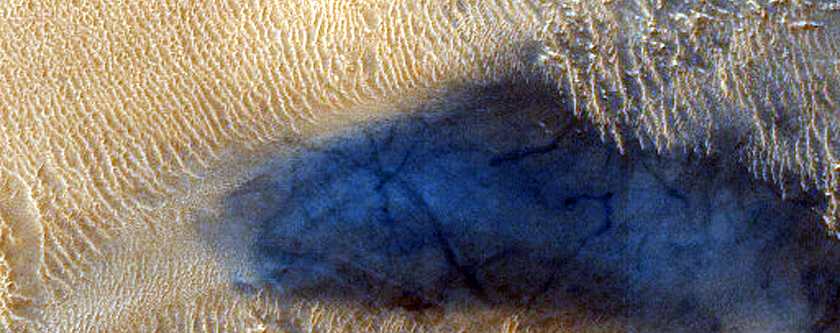 Dune Field