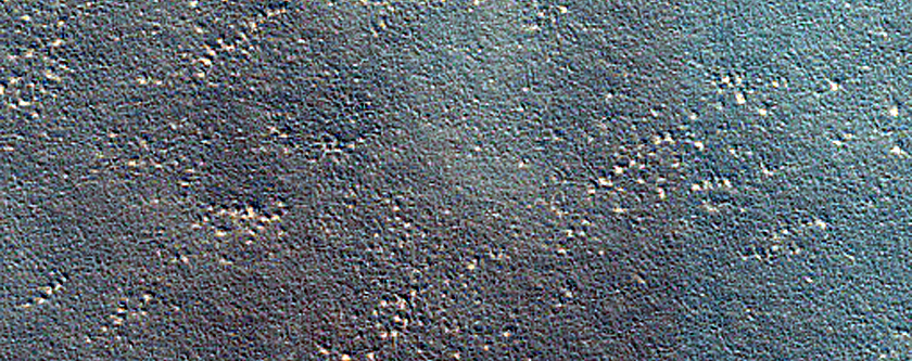 Candidate Landing Site for SpaceX Starship in Arcadia Planitia