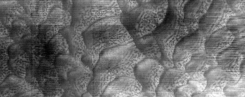 Dune Monitoring in Crater