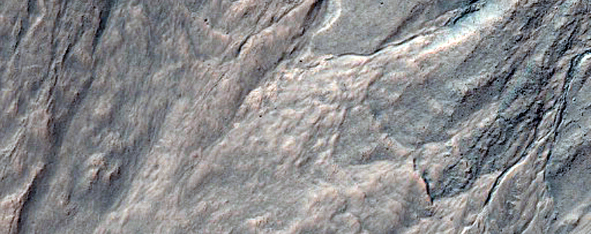 Gully Monitoring