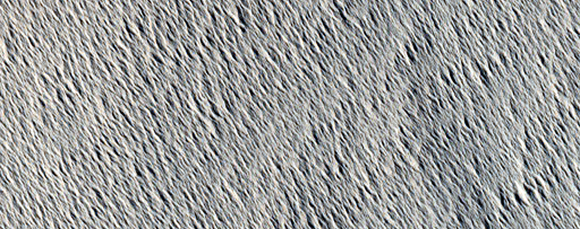 Wind Eroded Terrain