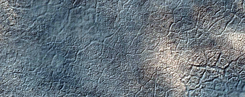 Dune Field