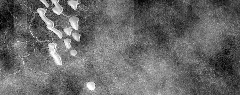 Dune Monitoring in Crater