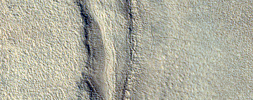 Utopia Planitia Fracture System