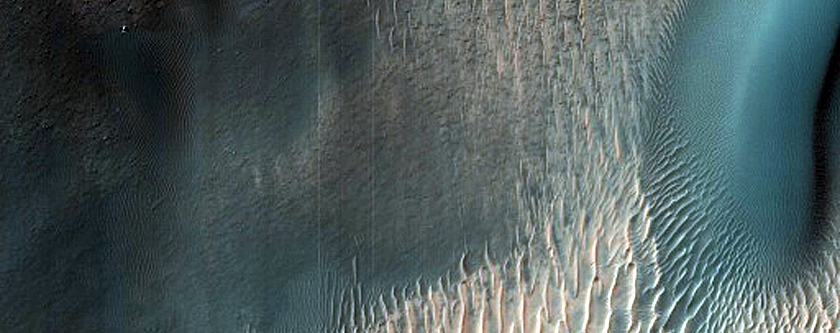 Dune Field