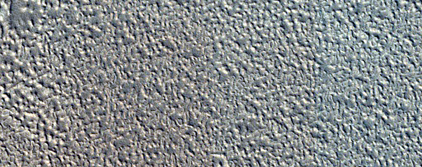 Candidate Landing Site for SpaceX Starship East of Arcadia Planitia