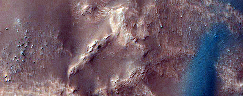 Dune Field