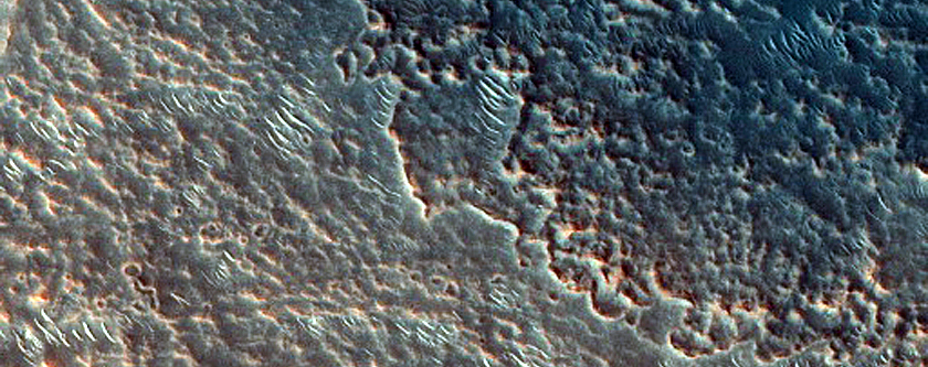 Dune Field