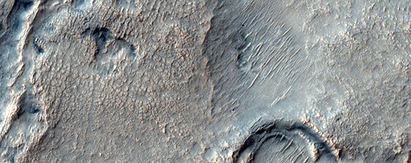 Irregular Cellular Structures around Crater in Southern Mid-Latitudes