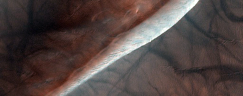 USGS Dune Database Entry Number 0236-604