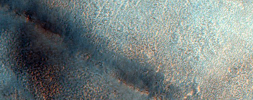 Contact in Northern Mid-Latitudes