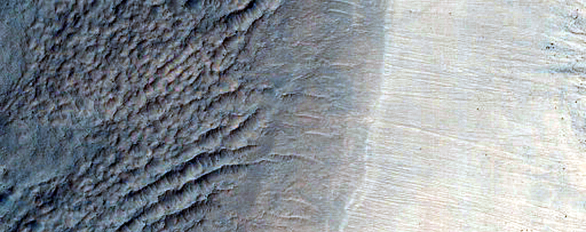 Monitor Frost in Corozal Crater
