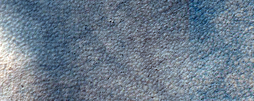 Dune Field