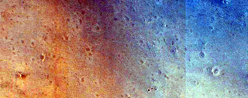Dune Field