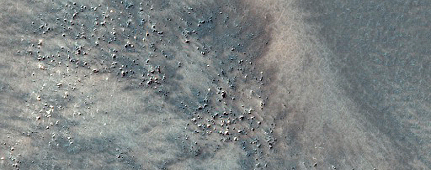 Dune Field